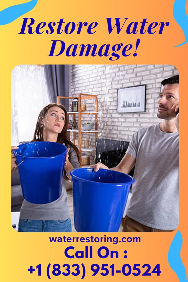 water restoration Total Flood Damage Network Shiloh