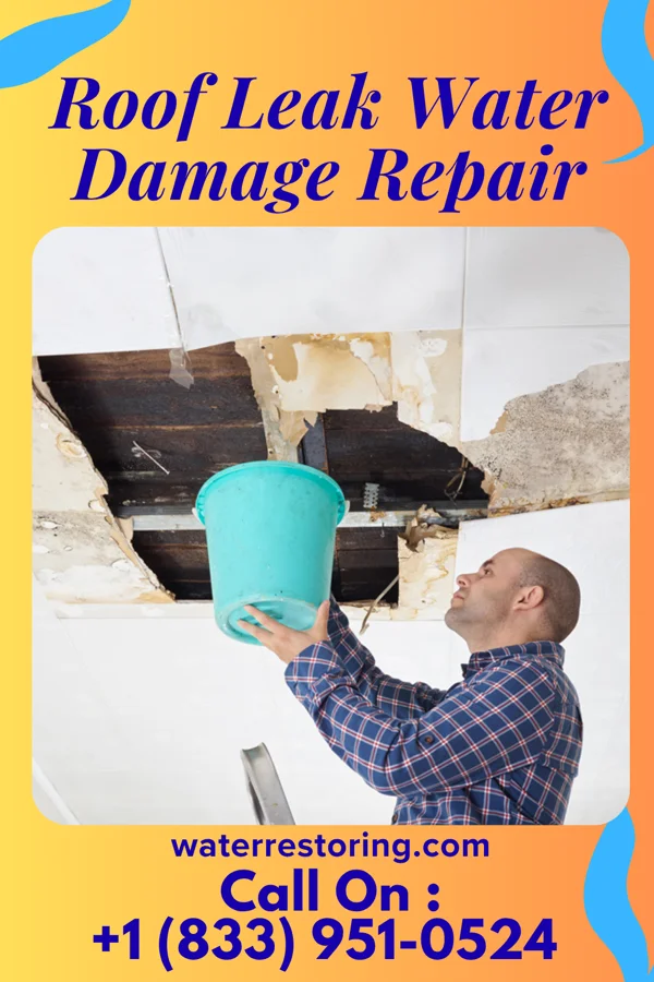 Roof Leak Water Damage Repair in Shiloh, IL