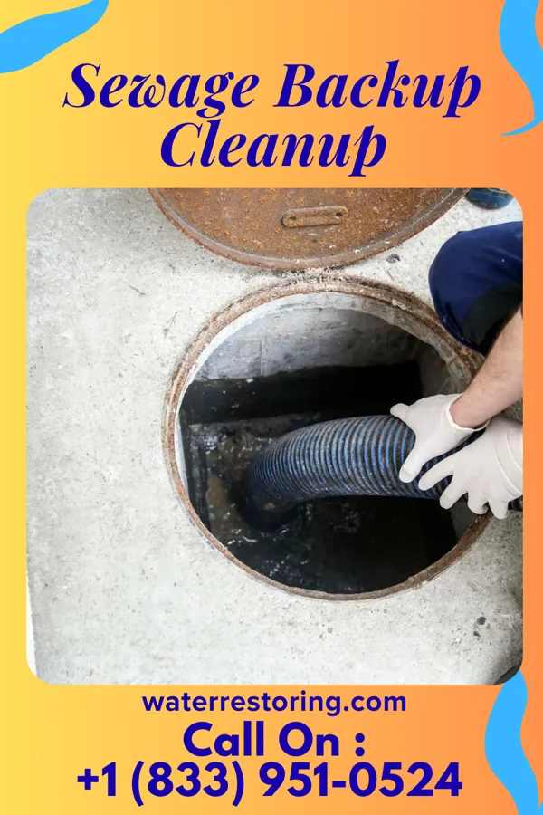 Sewage Backup Cleanup in Shiloh, IL
